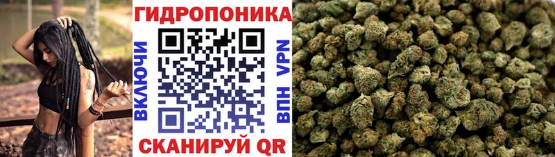 закладки  Мытищи  Марихуана AK-47 